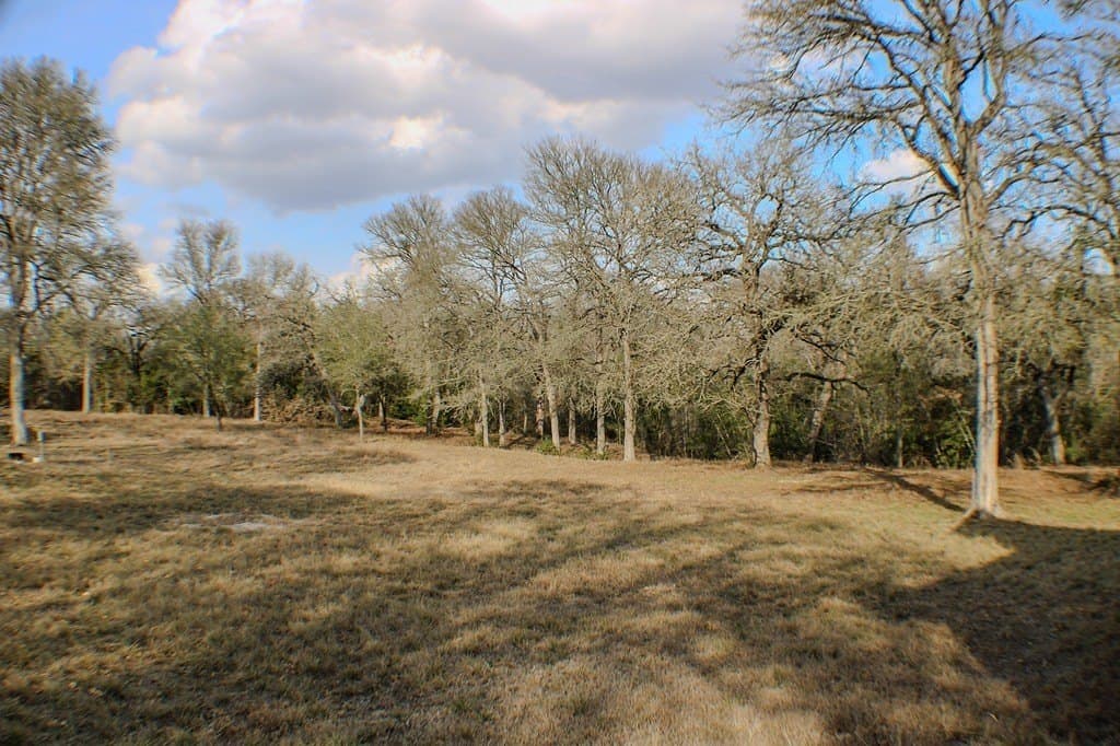 121 acres in Bastrop County - photo 17