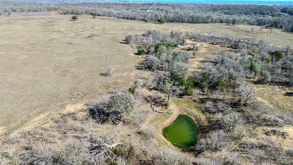 121 acres in Bastrop County gallery image 2