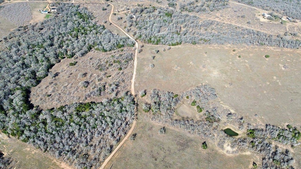 121 acres in Bastrop County - photo 11