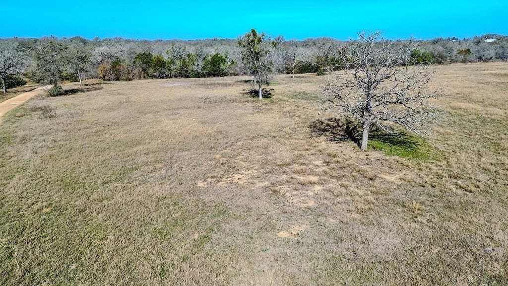 121 acres in Bastrop County - photo 7
