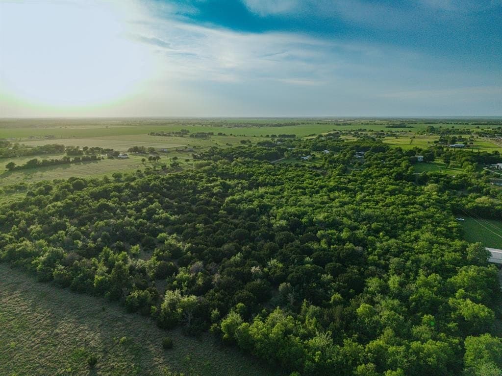 31.27 acres in McLennan County gallery image 2