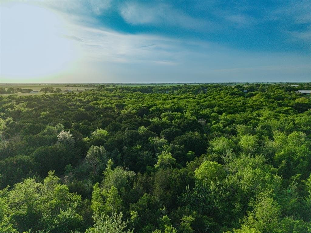31.27 acres in McLennan County featured view