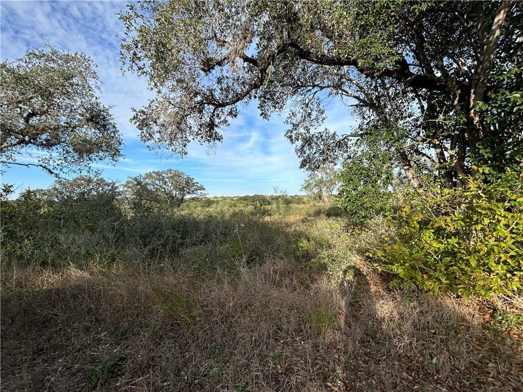 17.2 acres in Bee County - photo 5