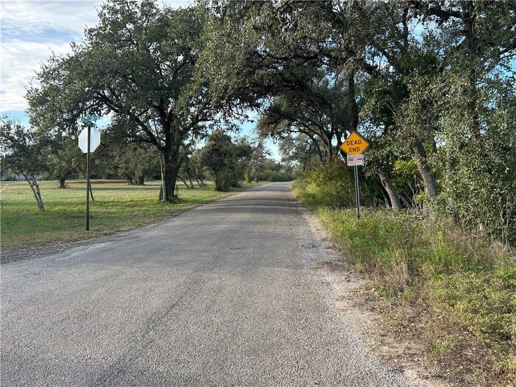 17.2 acres in Bee County - photo 2