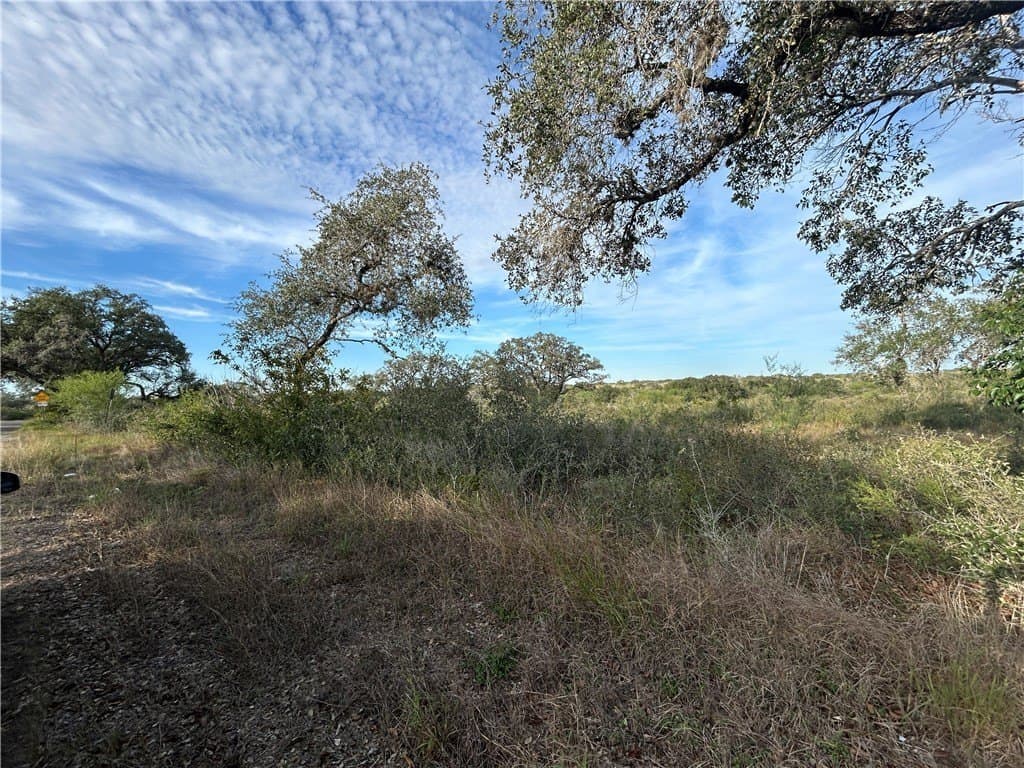 17.2 acres in Bee County - photo 4