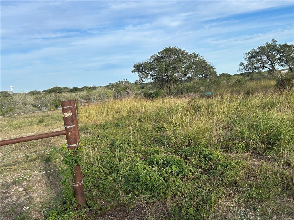 17.2 acres in Bee County