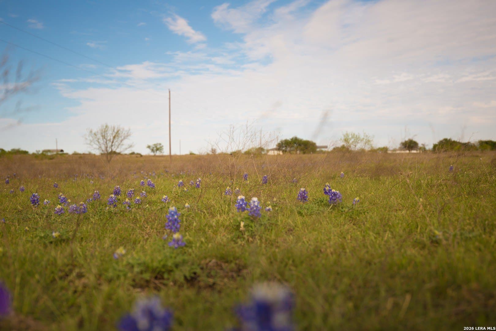 20.02 acres in Lampasas County - photo 7