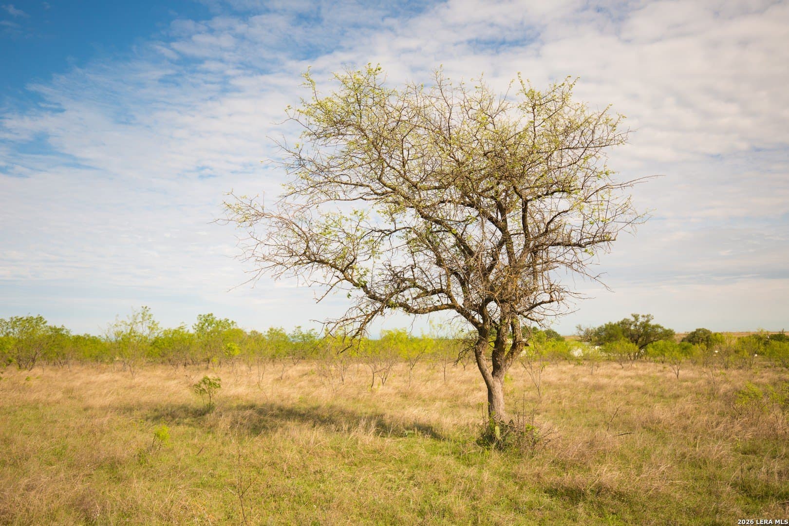 20.02 acres in Lampasas County - photo 19