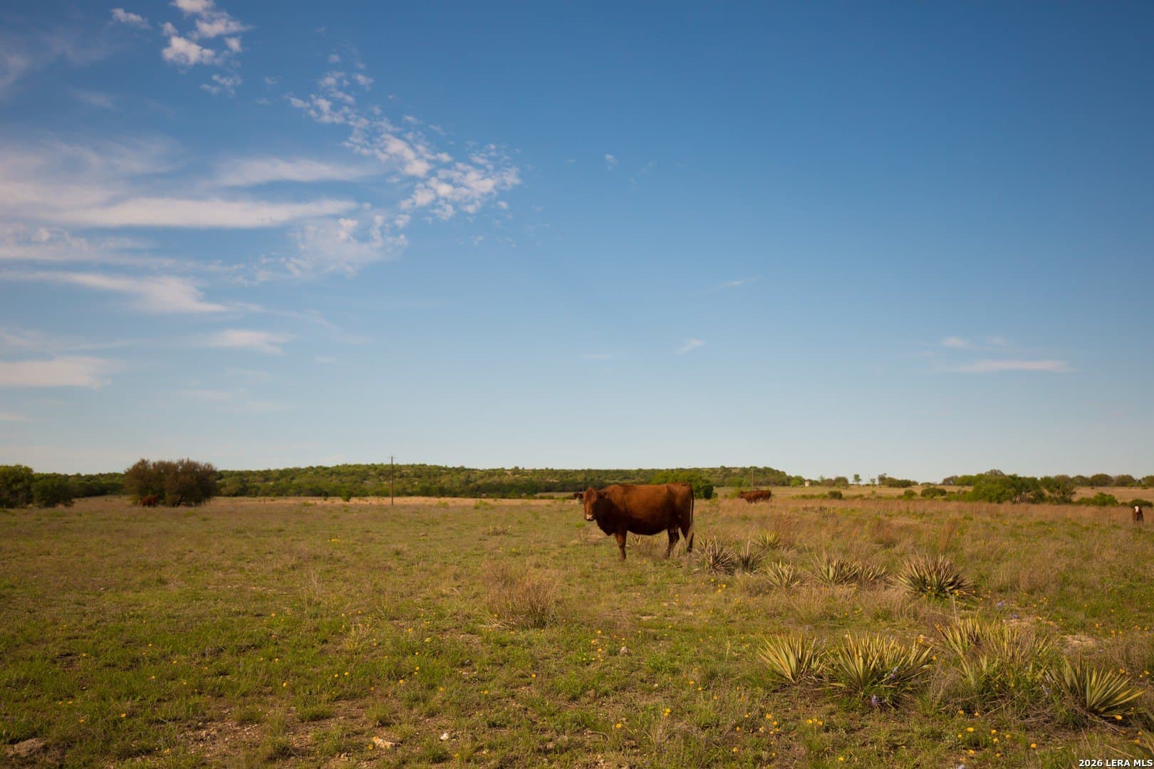 20.02 acres in Lampasas County - photo 8
