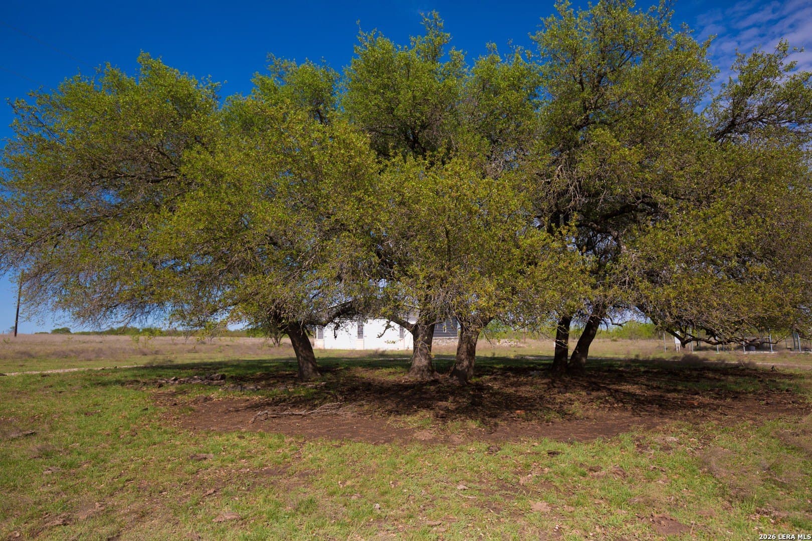 20.02 acres in Lampasas County gallery image 3