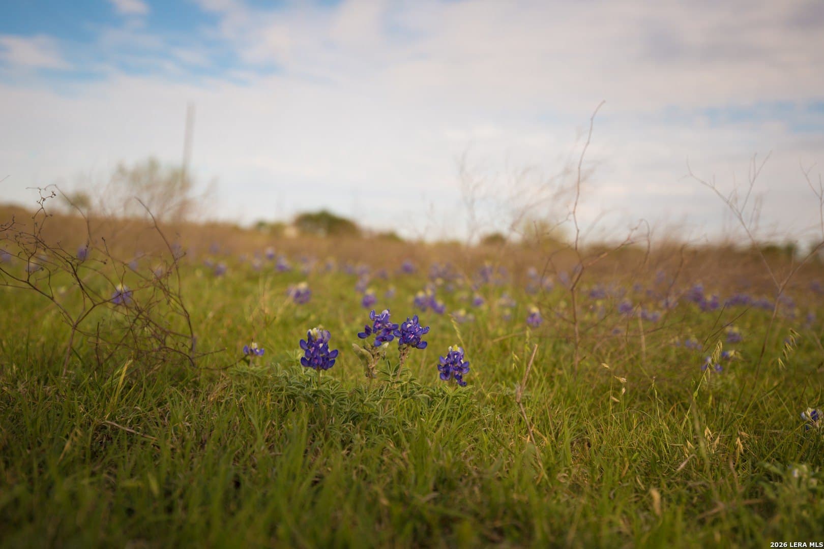 20.02 acres in Lampasas County featured view