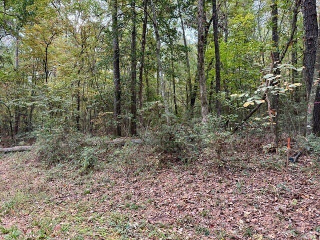 0.22 acres in Texas County - photo 8