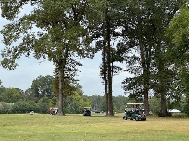 0.22 acres in Texas County - photo 7