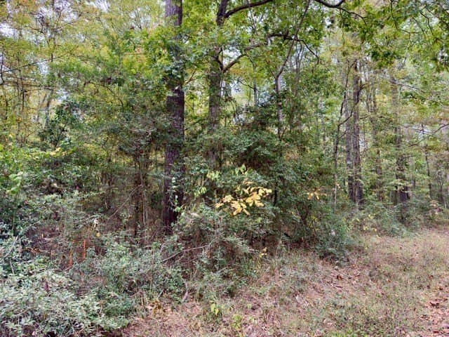 0.22 acres in Texas County - photo 4