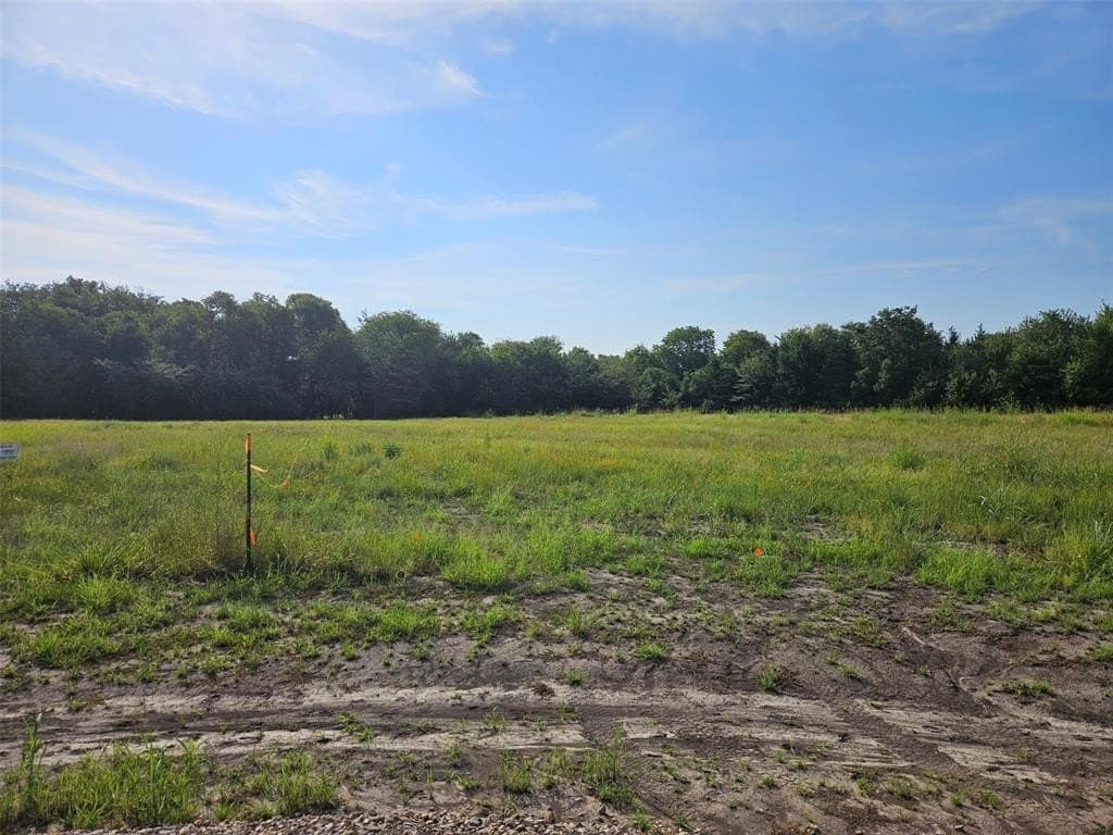 10.01 acres in Lamar County