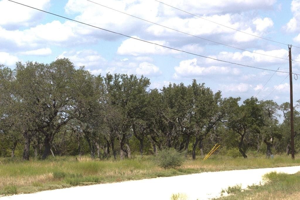 10 acres in Hamilton County - photo 6