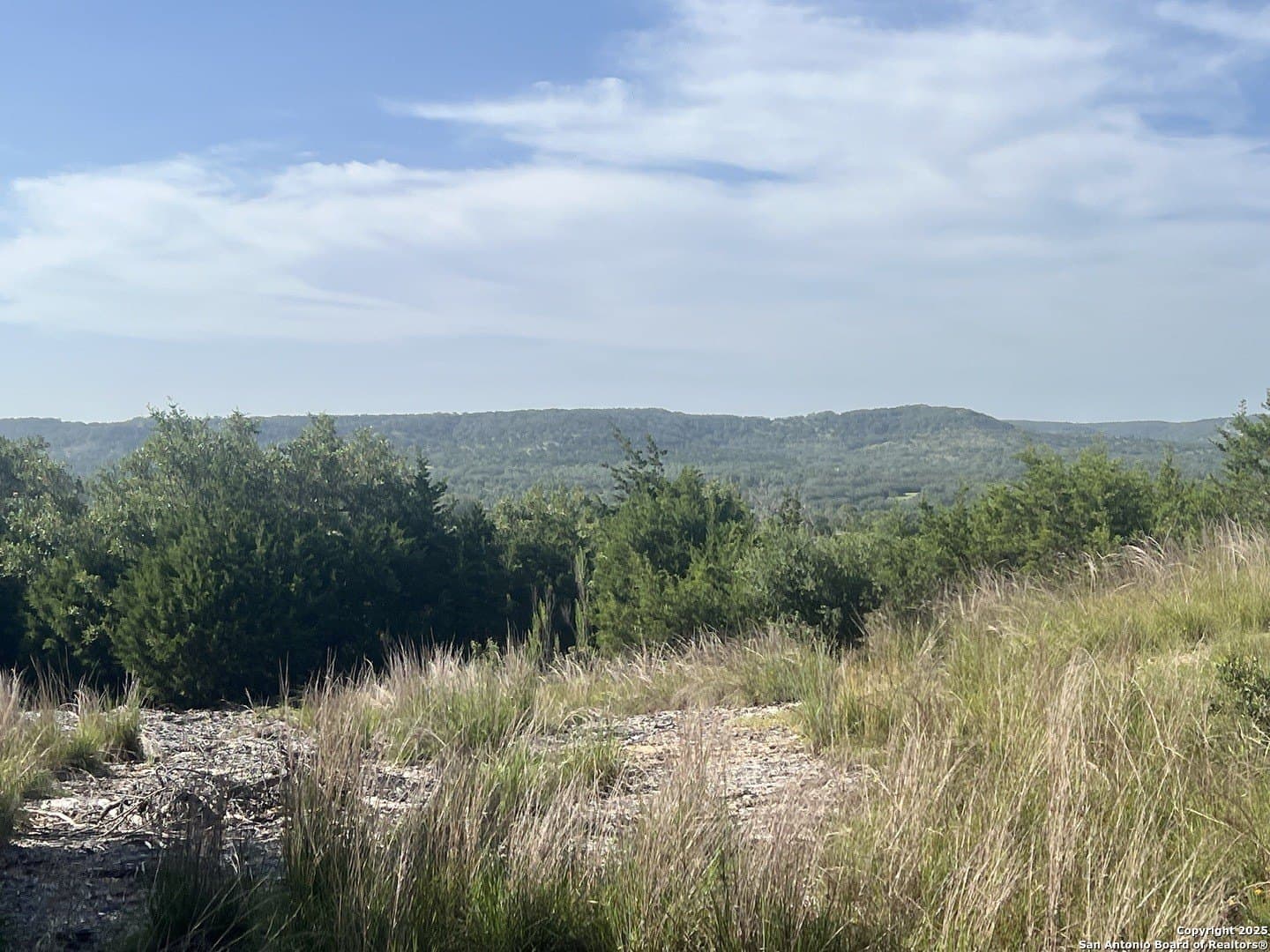 10.38 acres in Kendall County gallery image 4