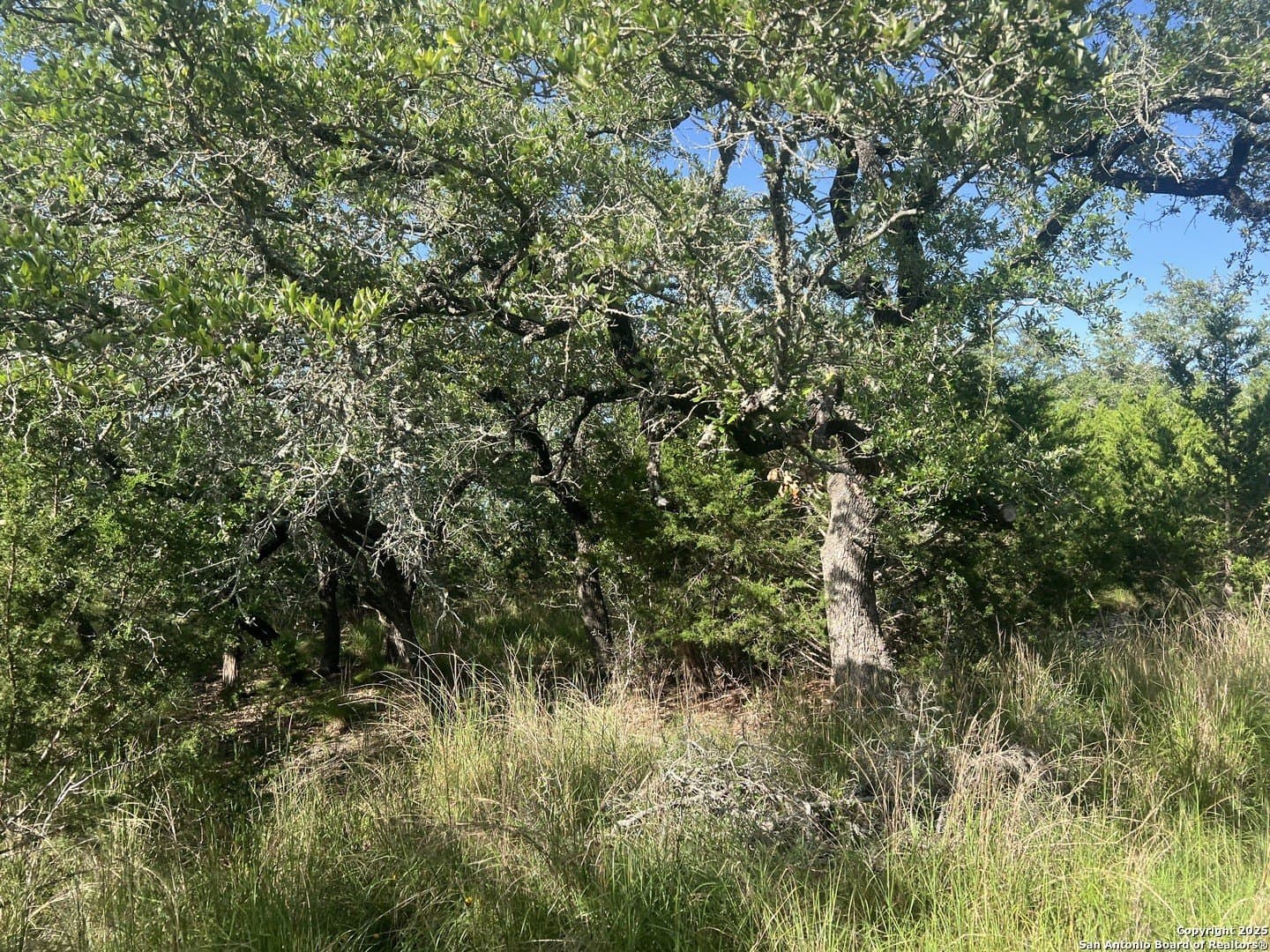 10.38 acres in Kendall County - photo 14