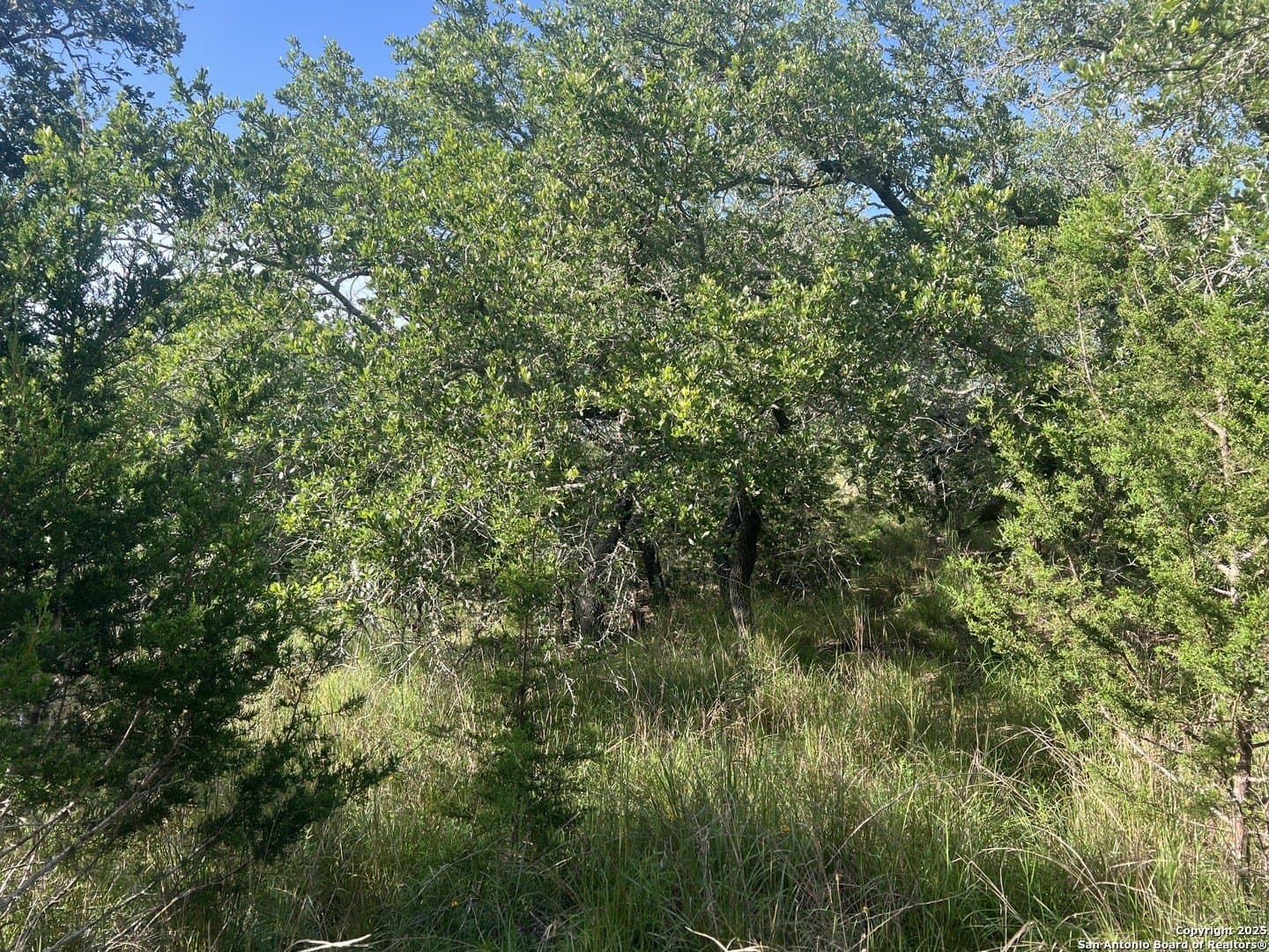 10.38 acres in Kendall County - photo 15