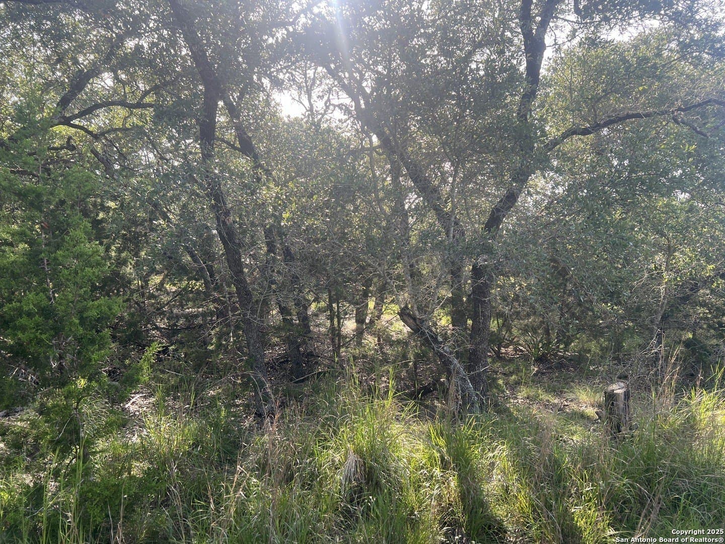 10.38 acres in Kendall County - photo 16