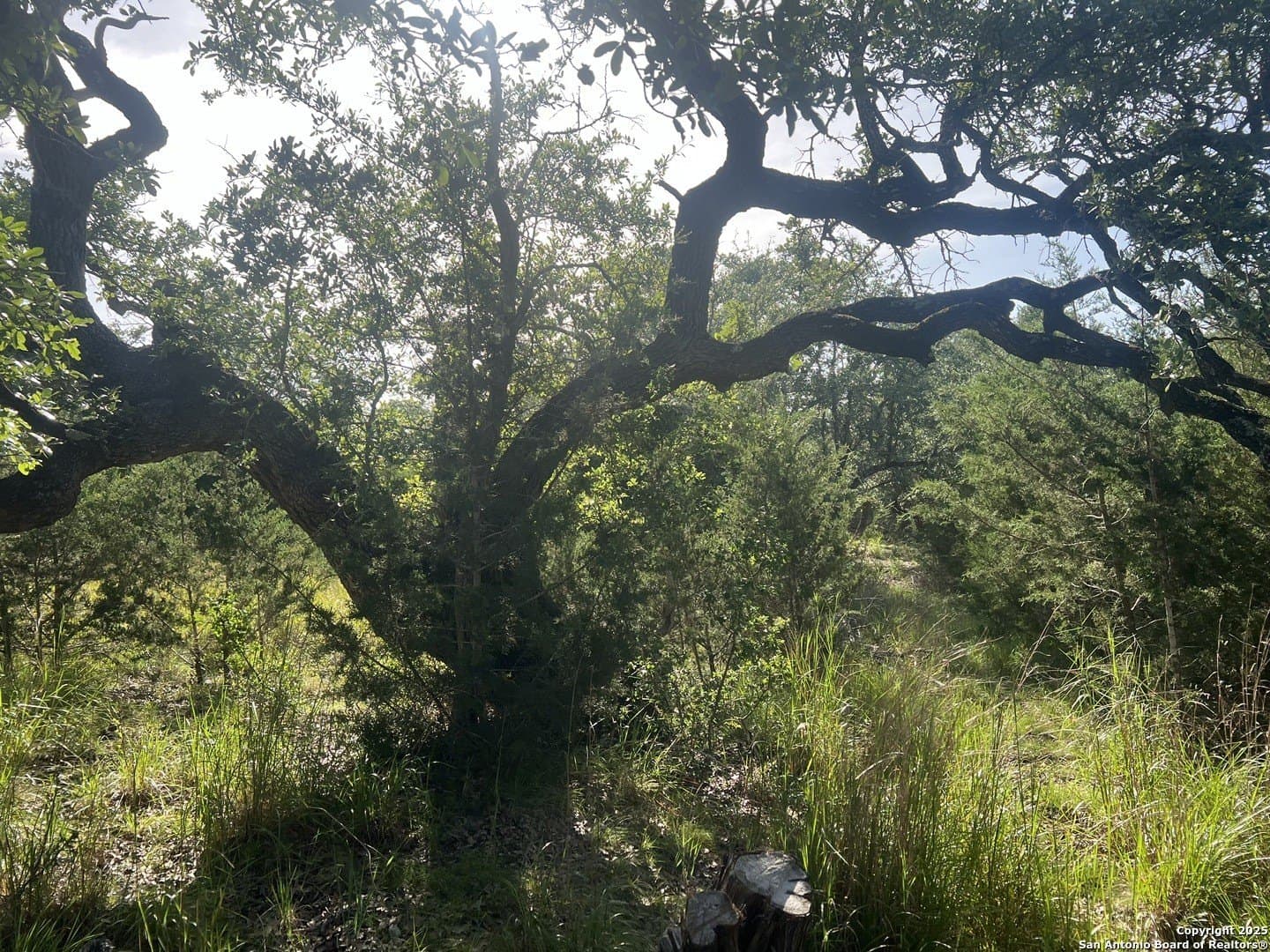 10.38 acres in Kendall County - photo 12