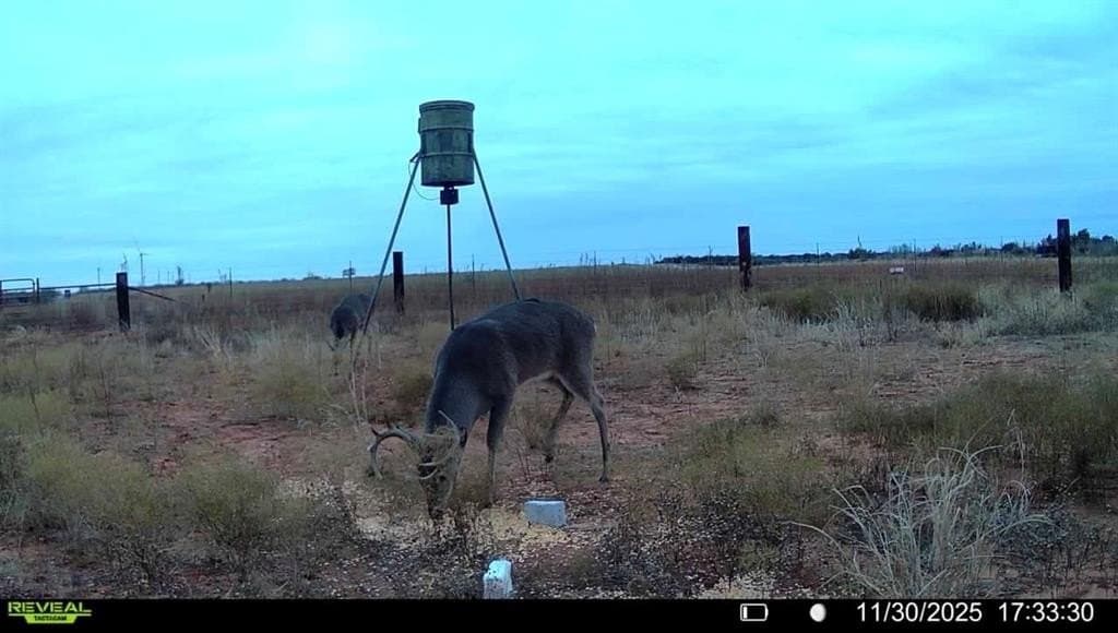 42 acres in Baylor County