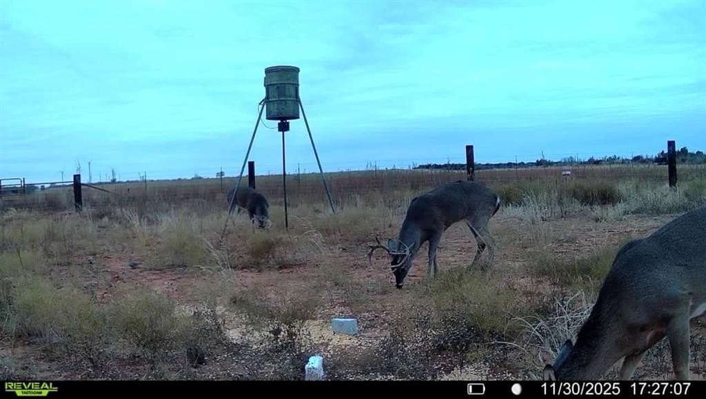 42 acres in Baylor County featured view