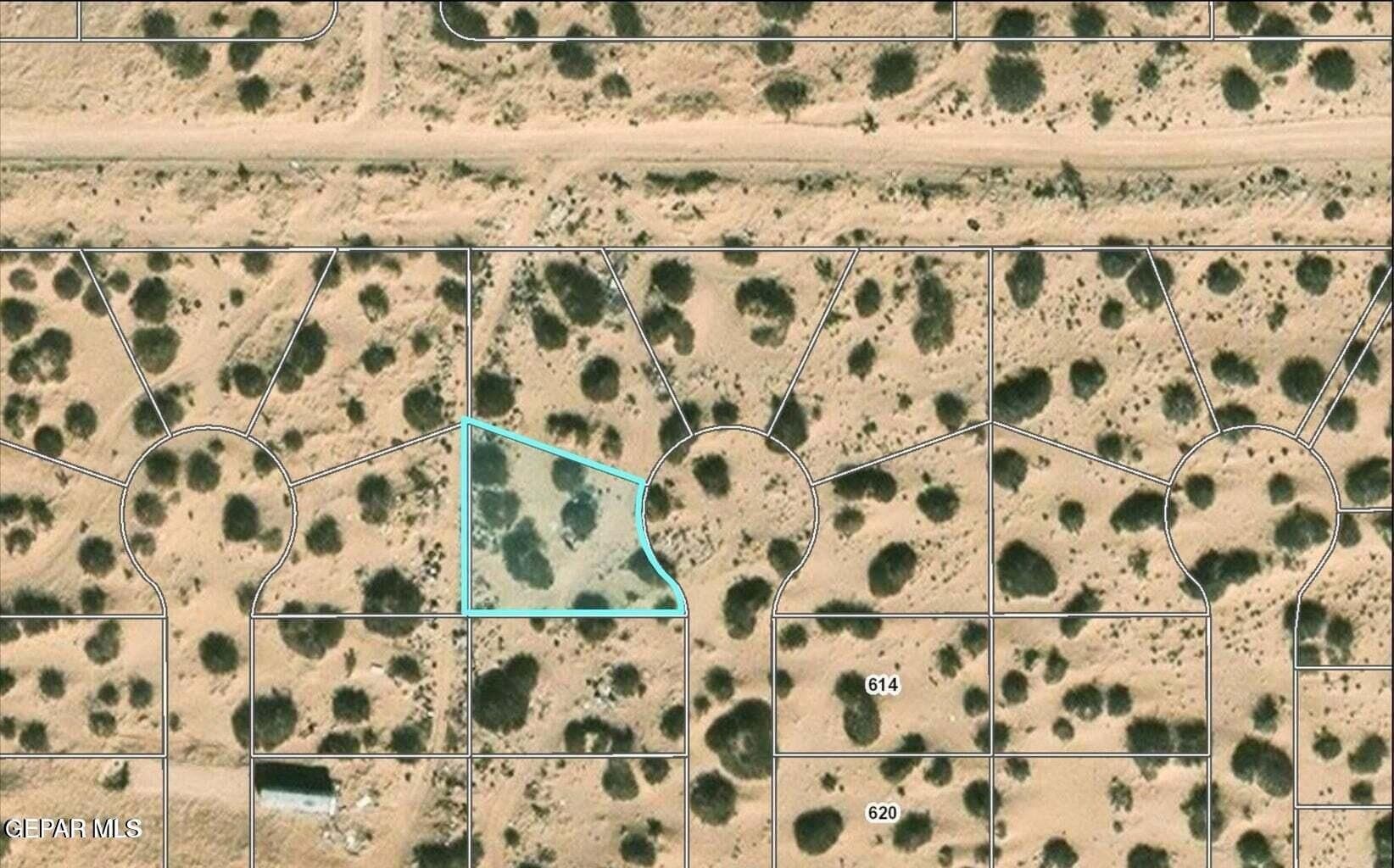 0.29 acres in El Paso County - photo 8