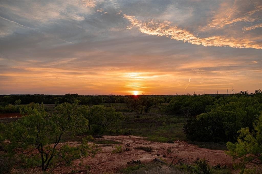 47.23 acres in Taylor County gallery image 2