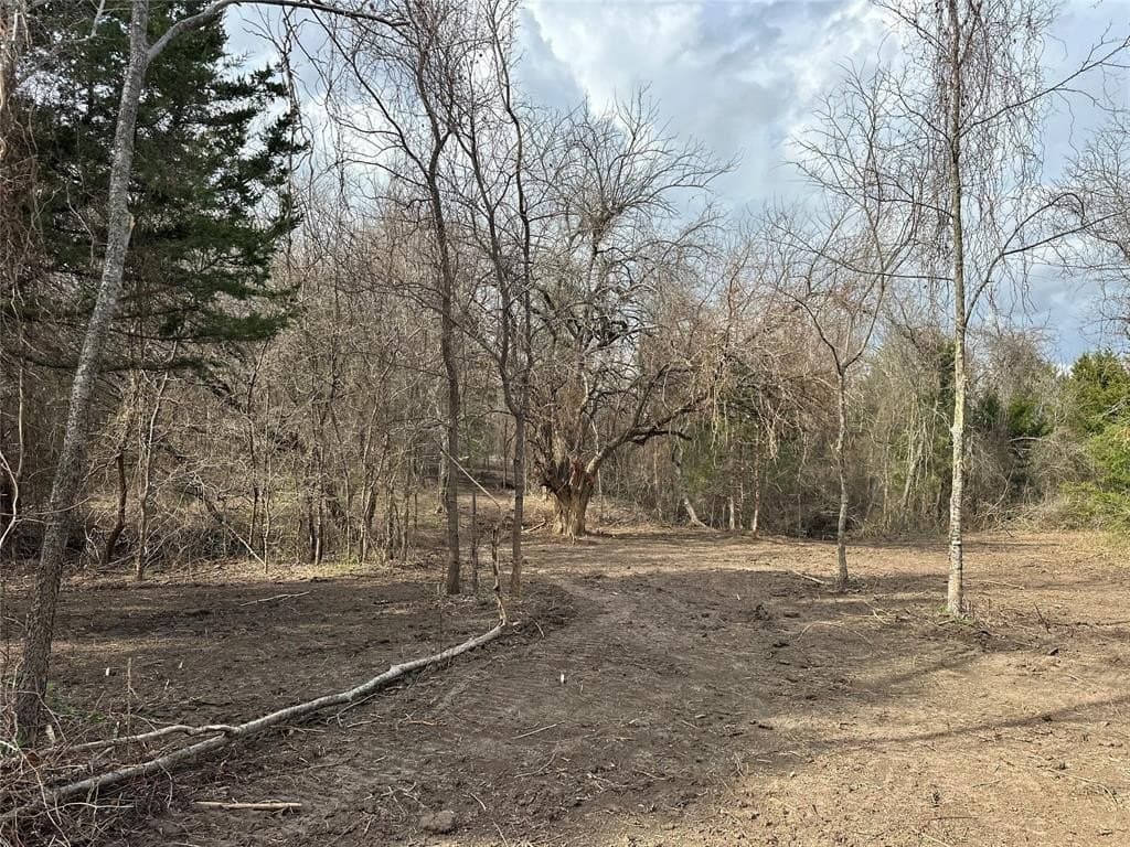 5.35 acres in Ellis County gallery image 3