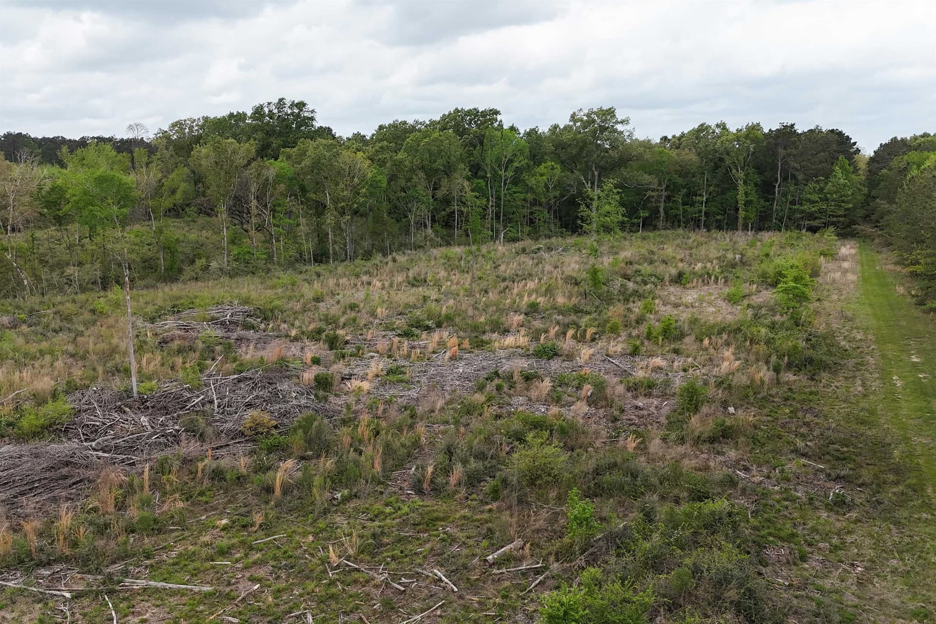 5.06 acres in Panola County - photo 10