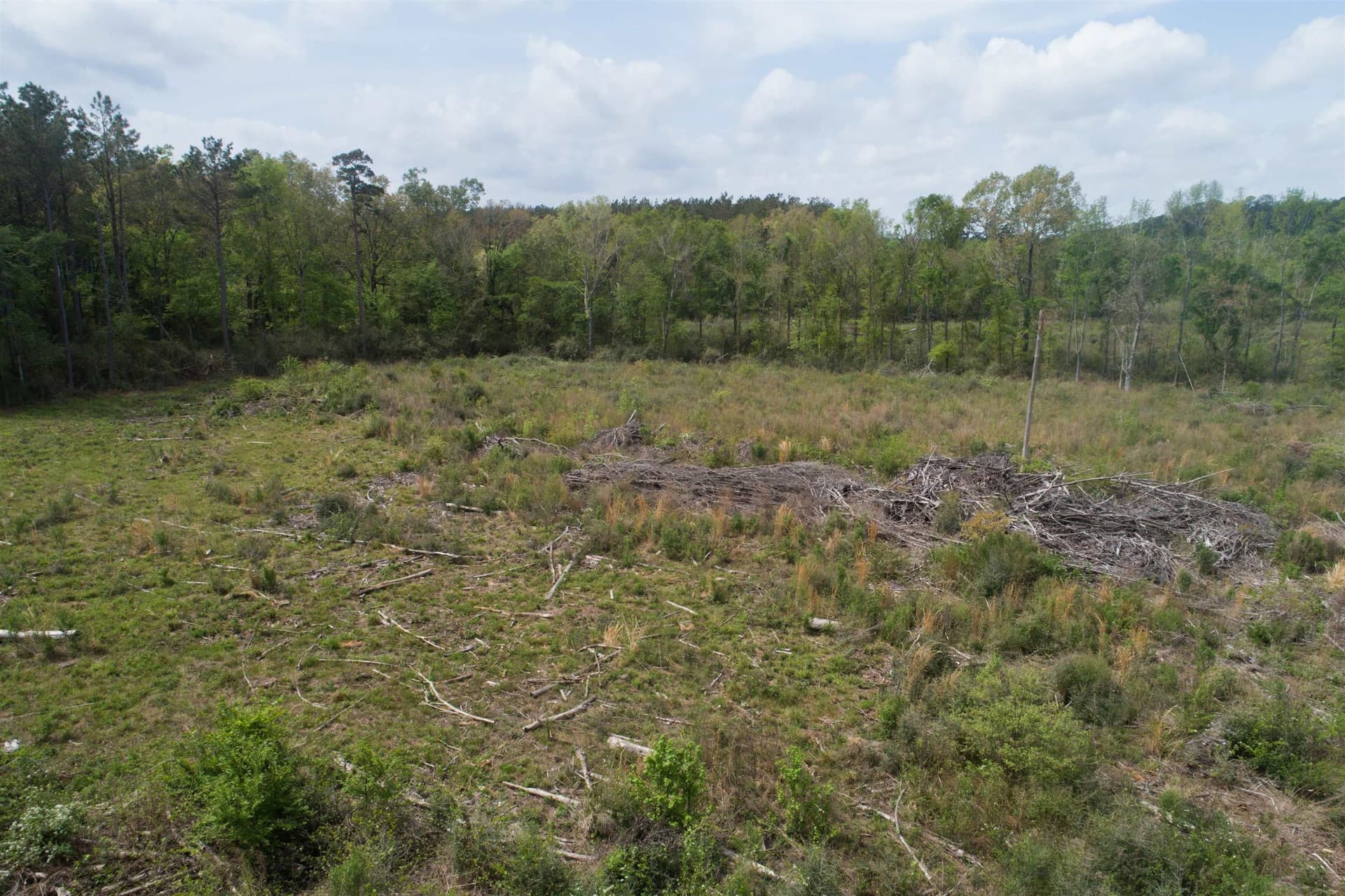 5.06 acres in Panola County - photo 7