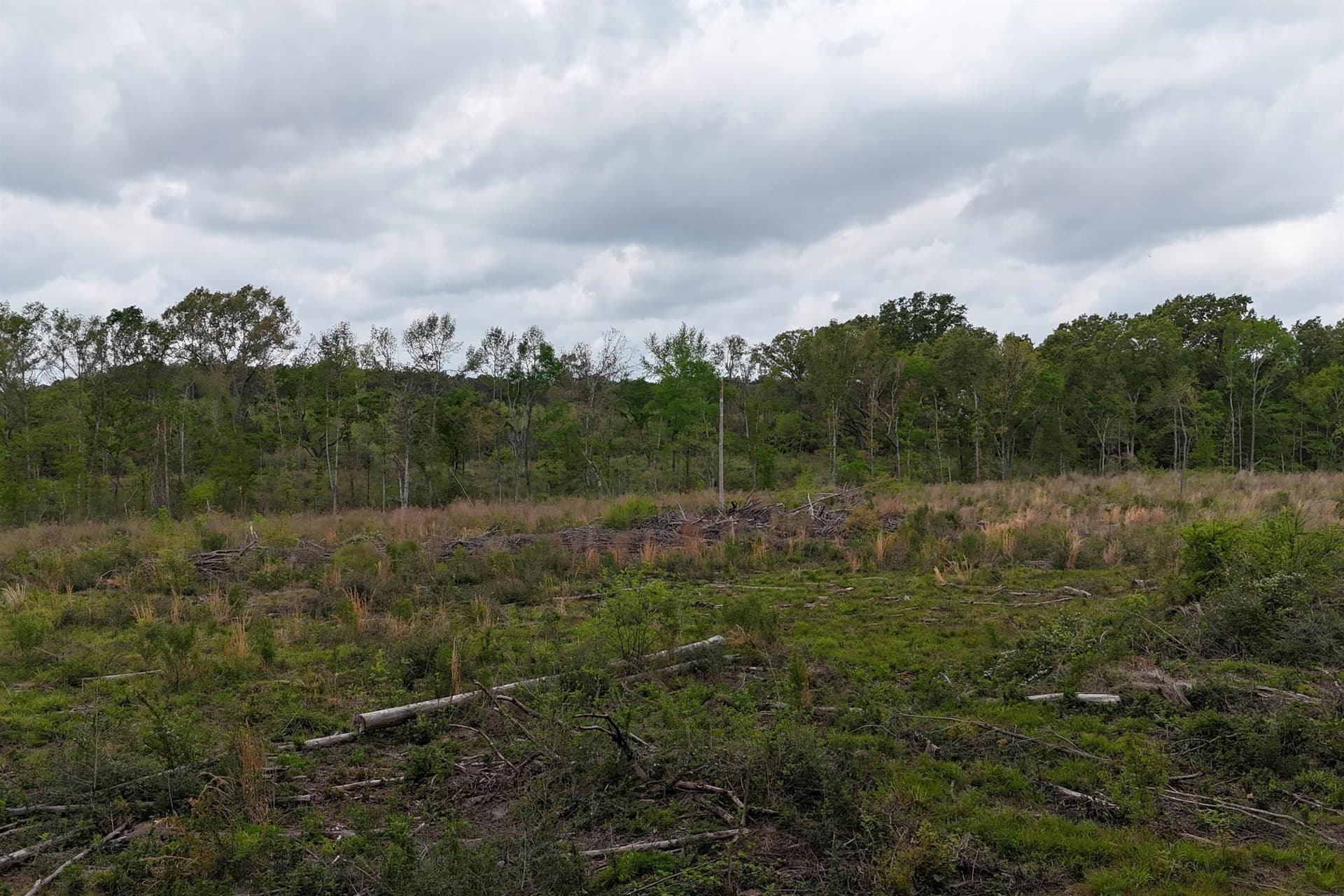 5.06 acres in Panola County - photo 9
