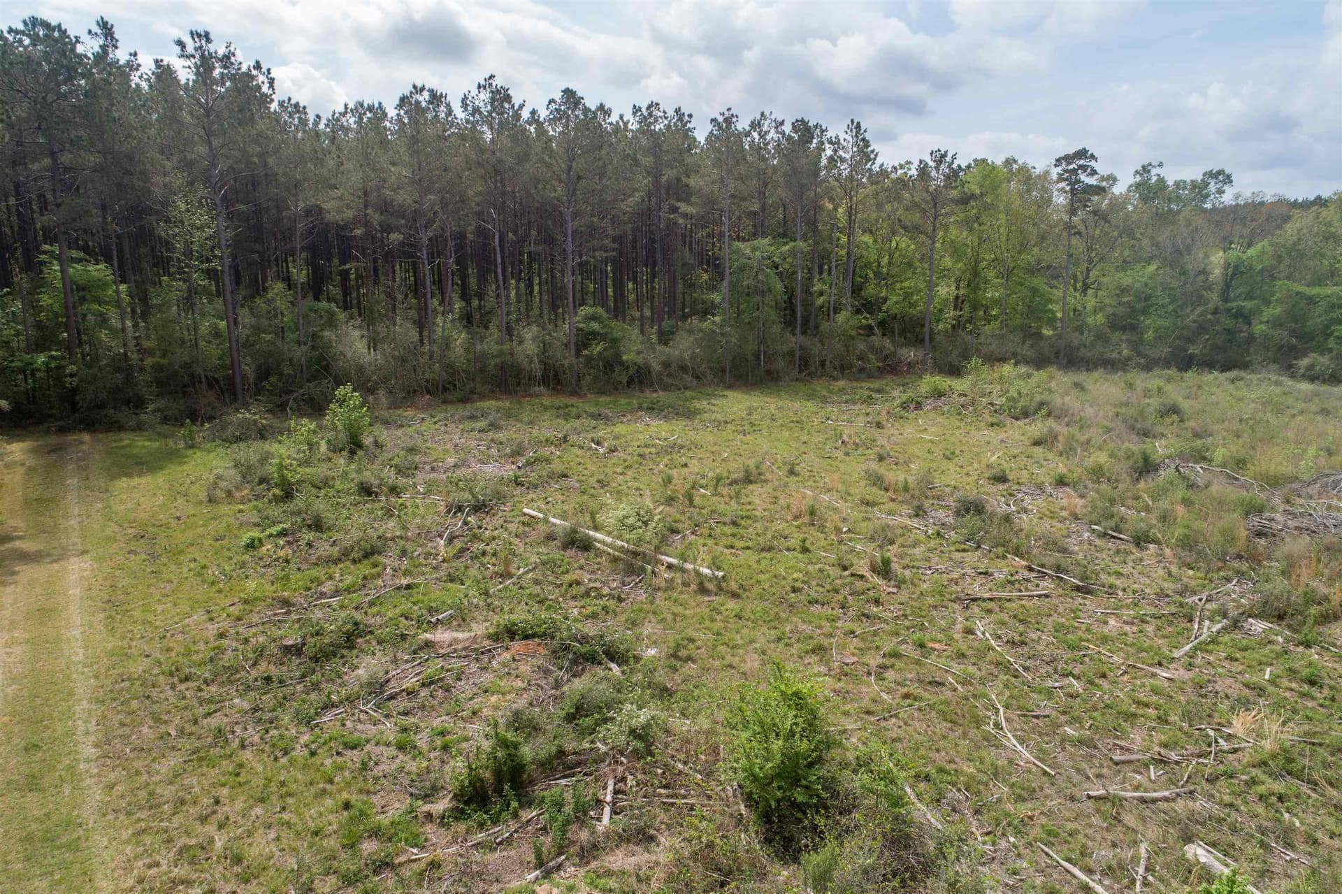 5.06 acres in Panola County - photo 6