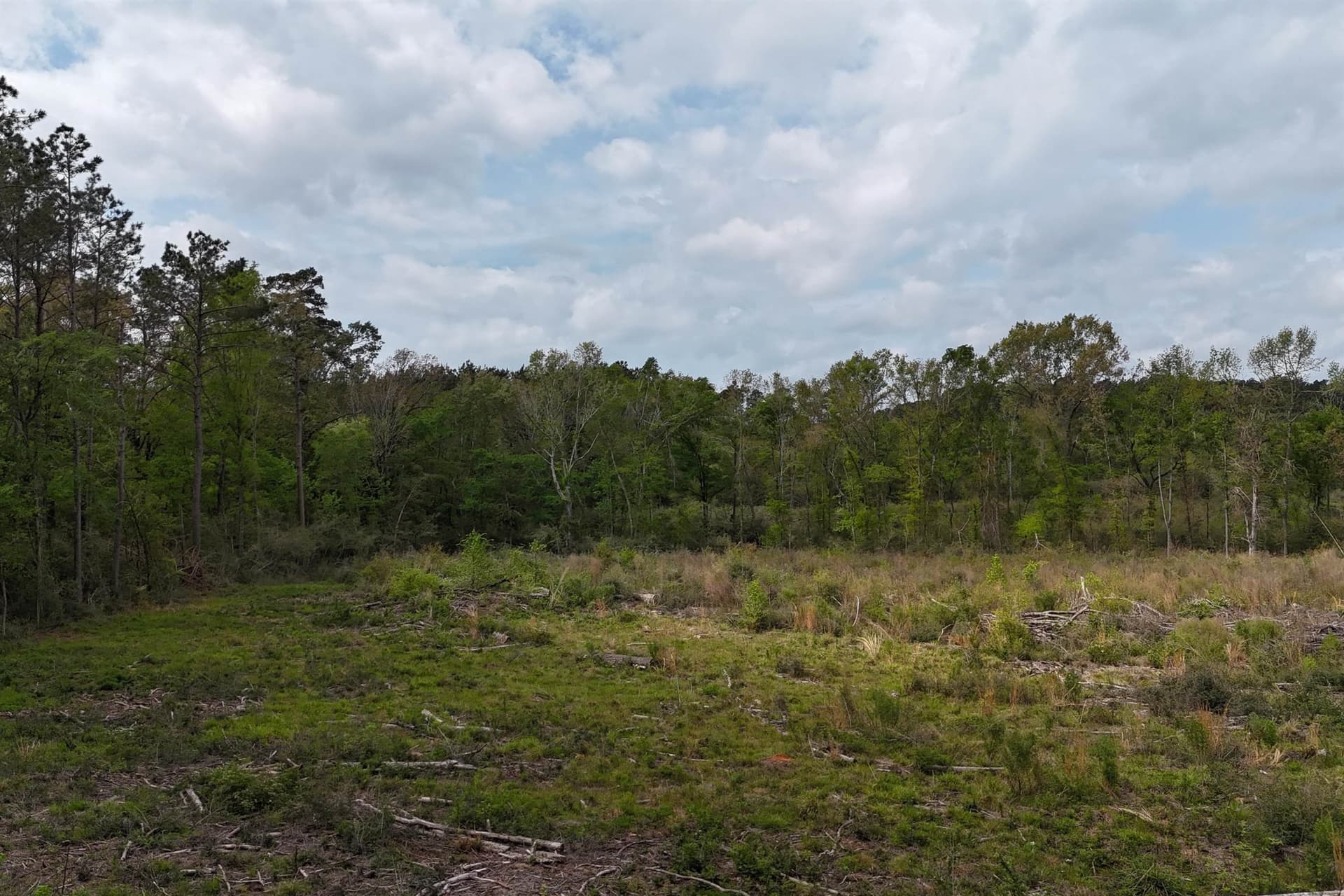 5.06 acres in Panola County - photo 8