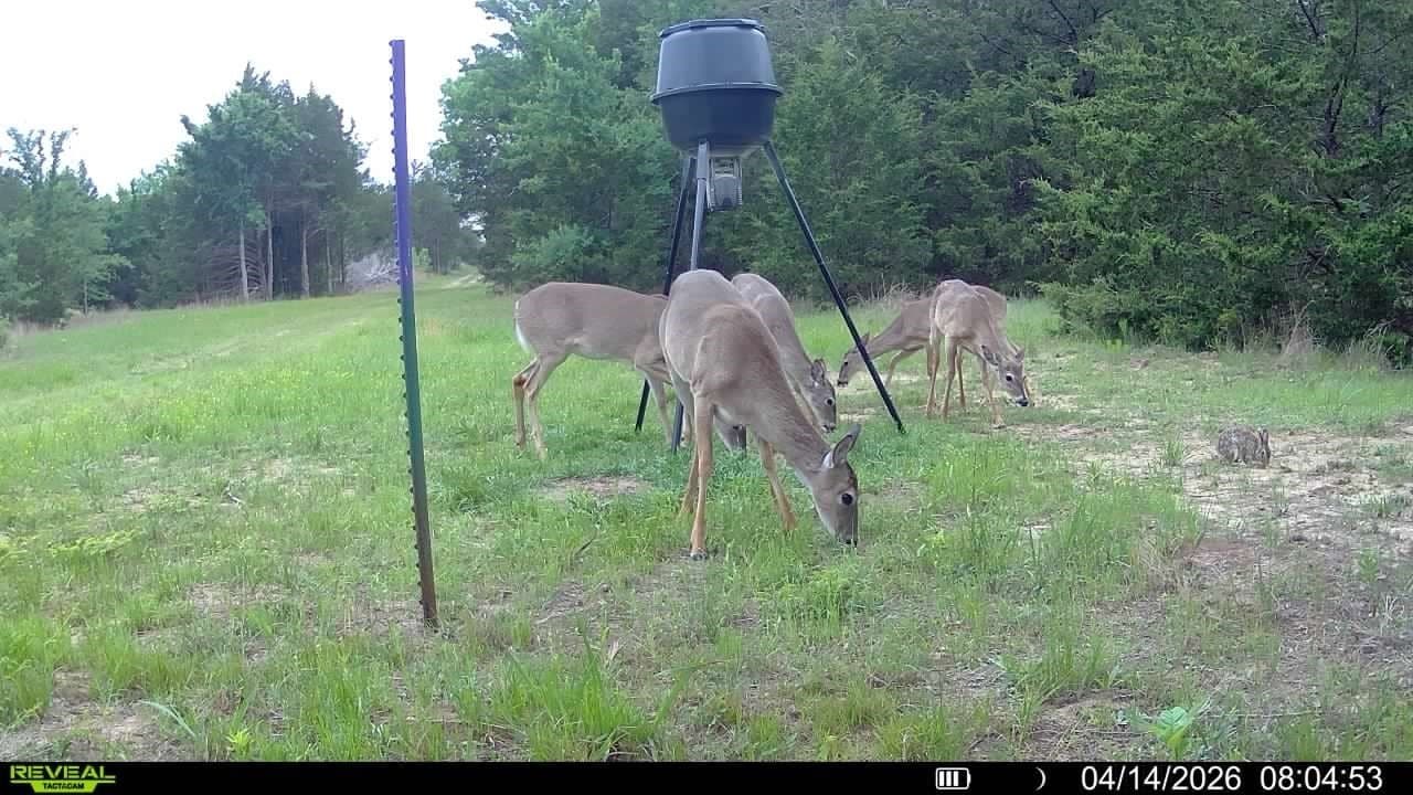 49.86 acres in Hunt County - photo 32