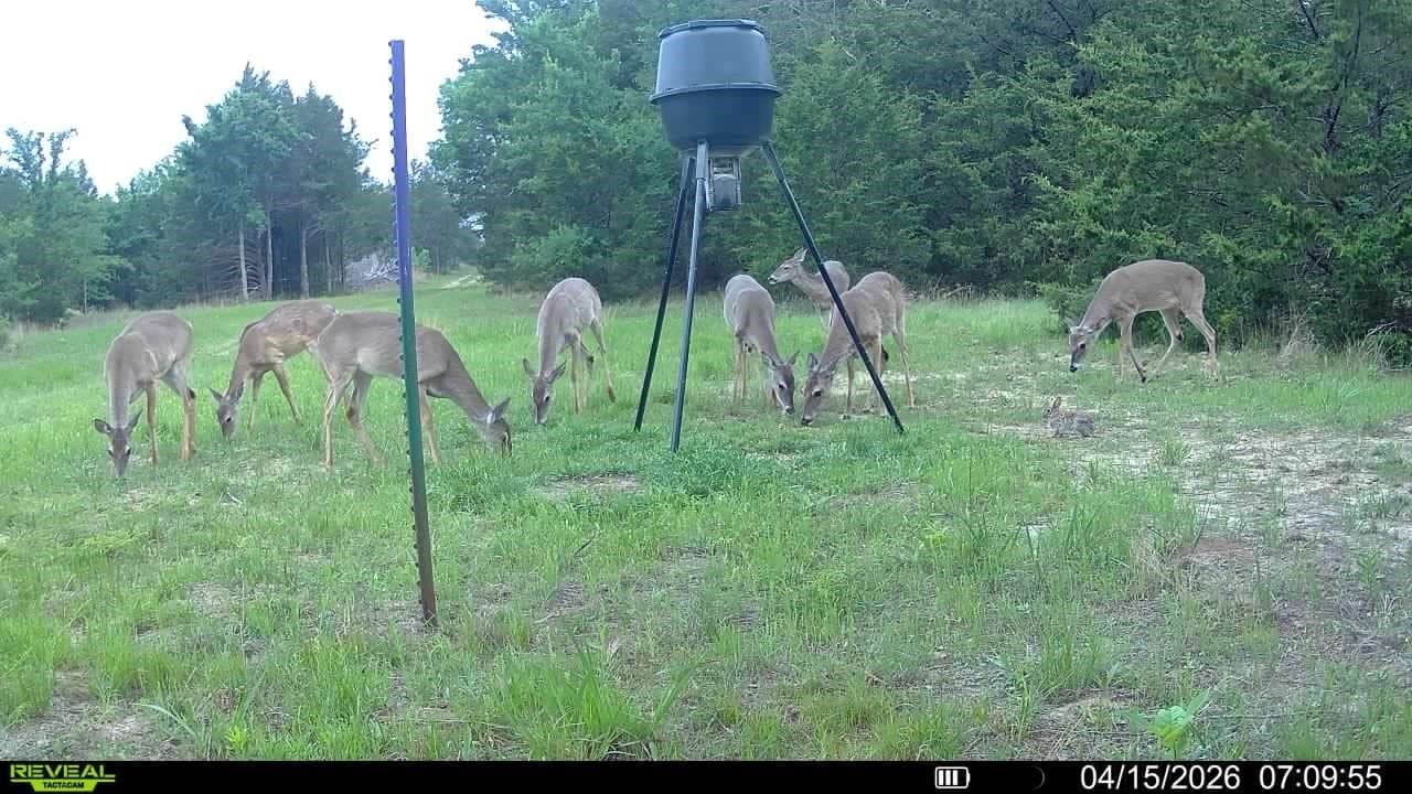 49.86 acres in Hunt County - photo 31