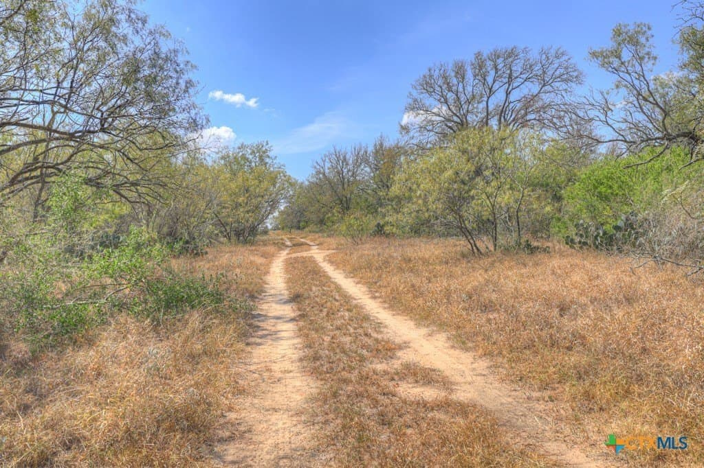 10.1 acres in Guadalupe County - photo 14