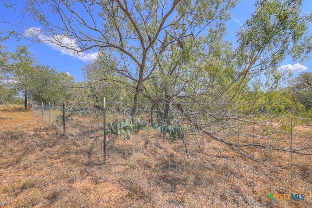 10.1 acres in Guadalupe County - photo 16
