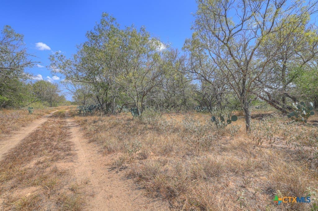 10.1 acres in Guadalupe County - photo 10