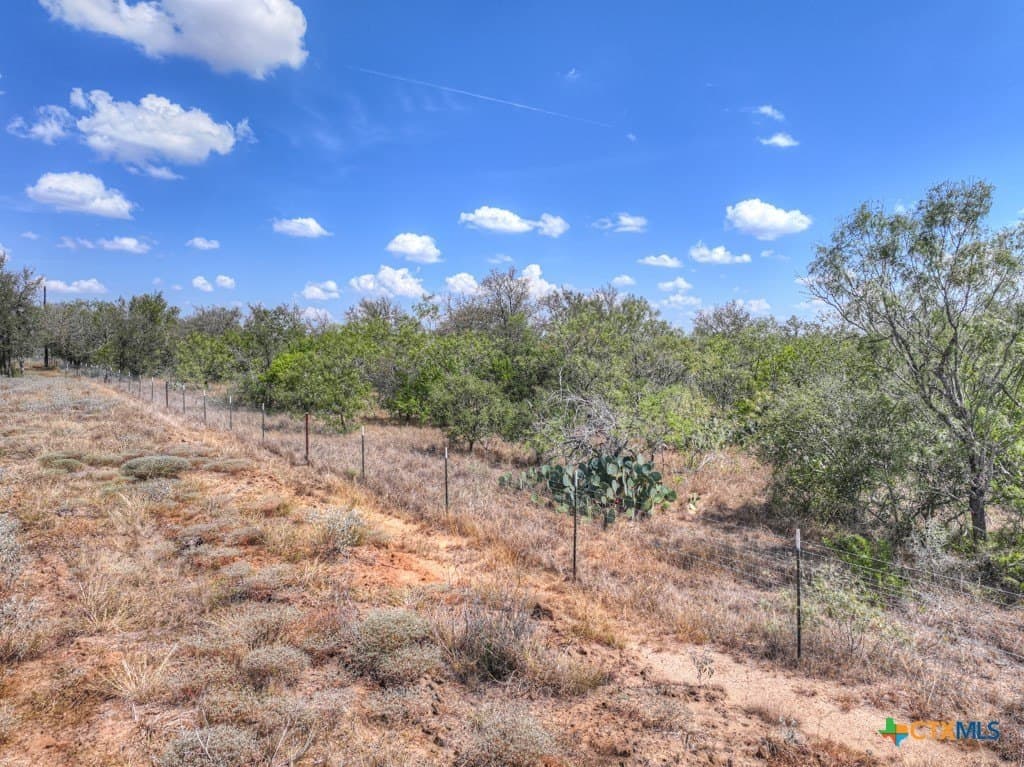 10.1 acres in Guadalupe County - photo 30
