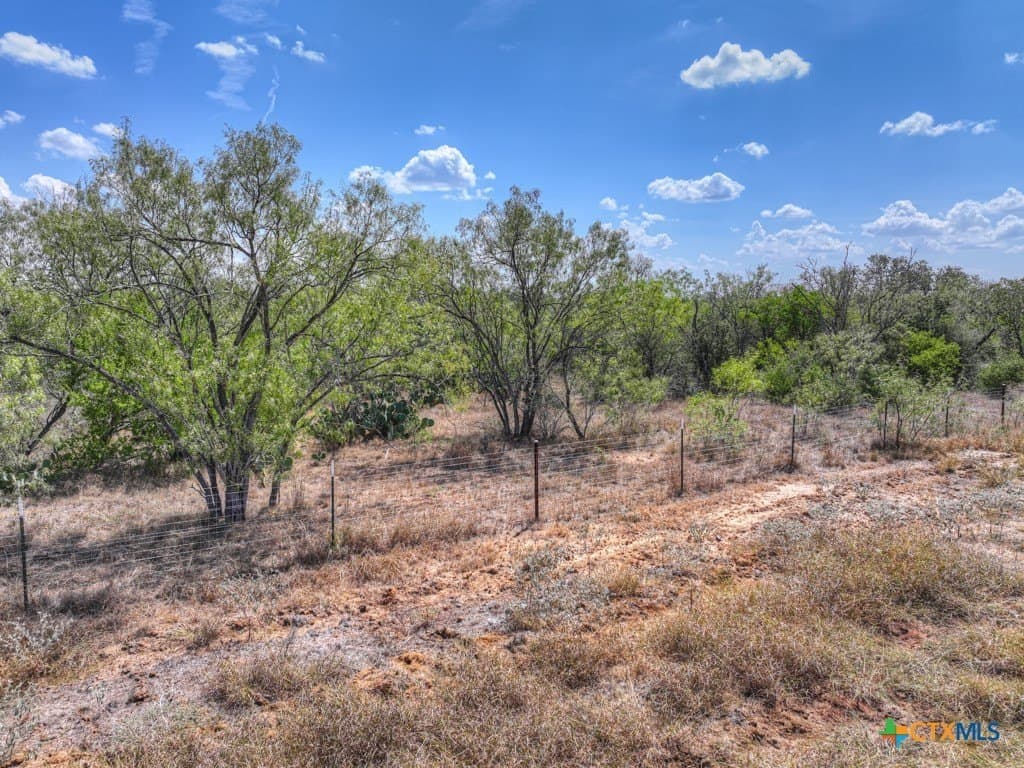 10.1 acres in Guadalupe County - photo 29