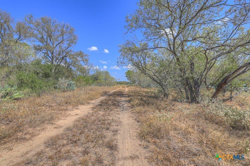 10.1 acres in Guadalupe County - photo 12