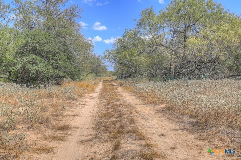 10.1 acres in Guadalupe County - photo 9