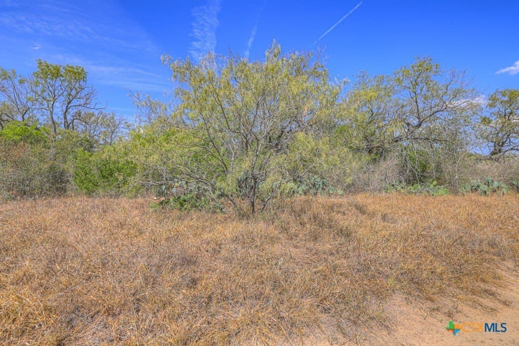 10.1 acres in Guadalupe County - photo 13