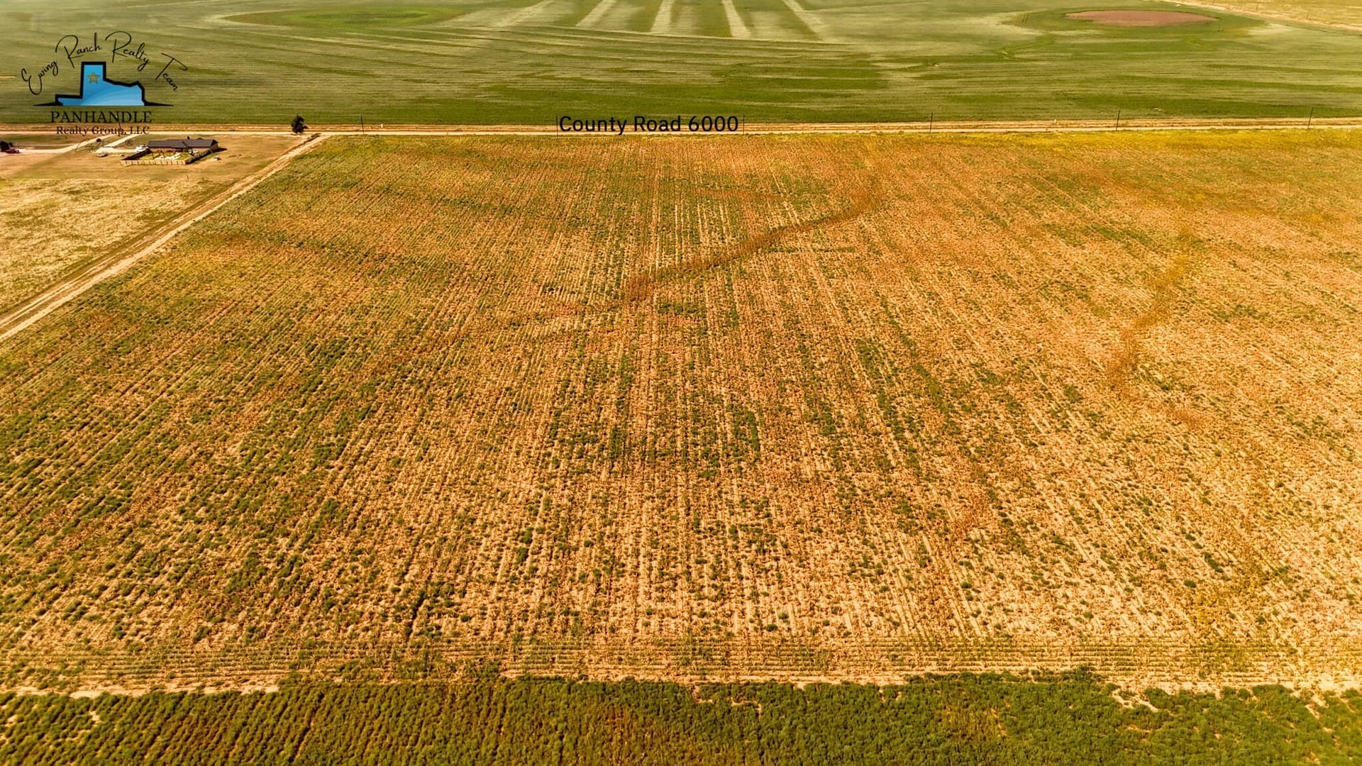 10.01 acres in Lubbock County - photo 3