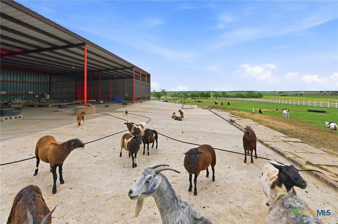 20 acres in Guadalupe County - photo 42