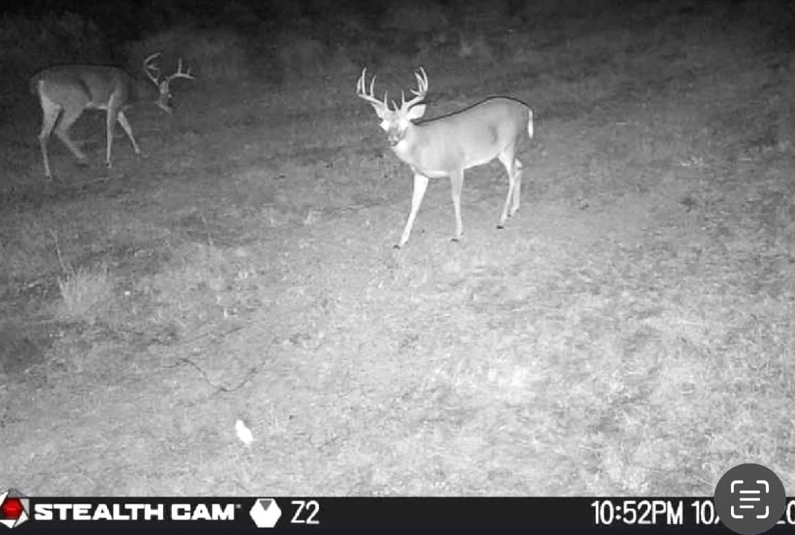 95 acres in Eastland County - photo 31