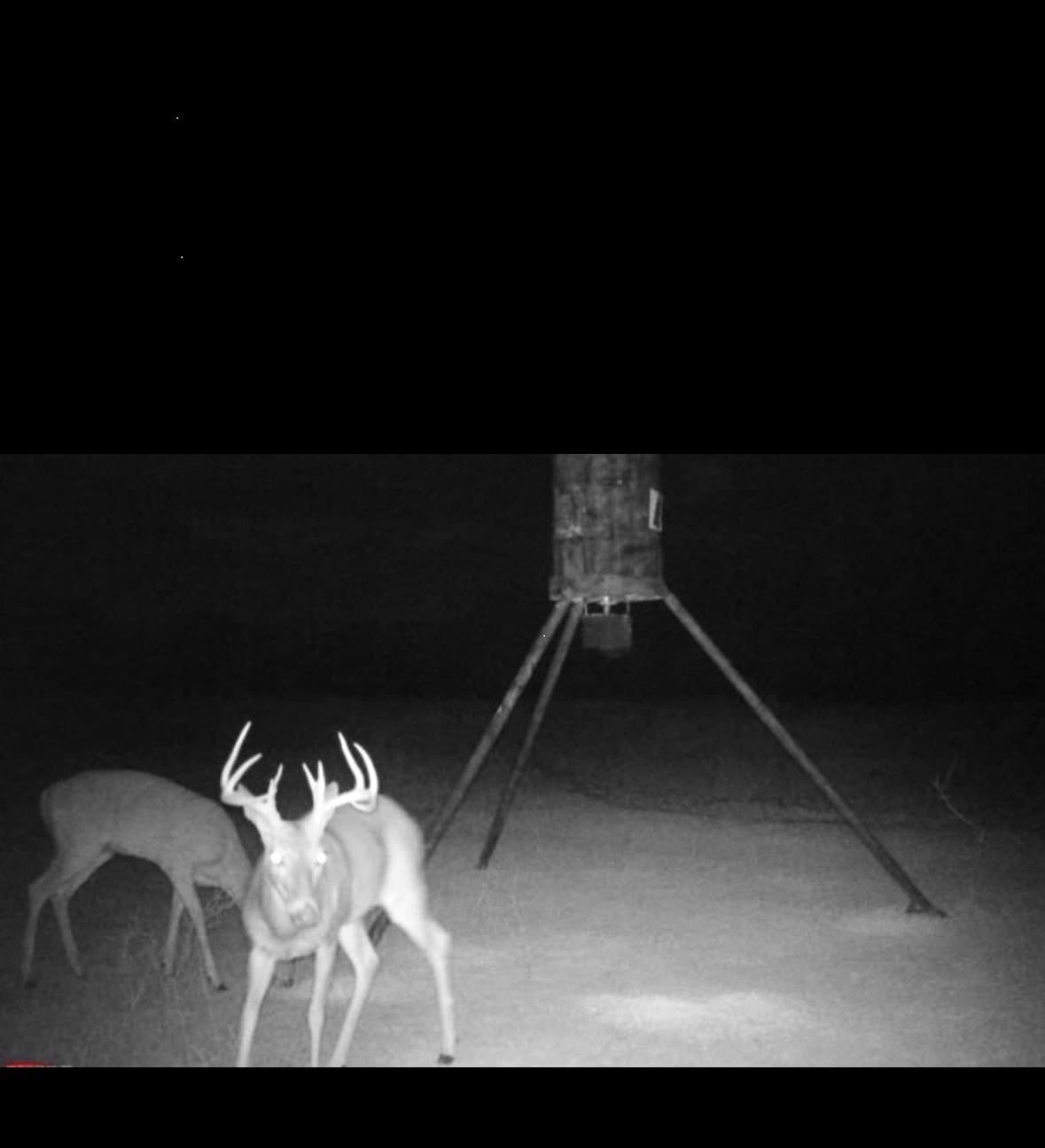 95 acres in Eastland County - photo 32