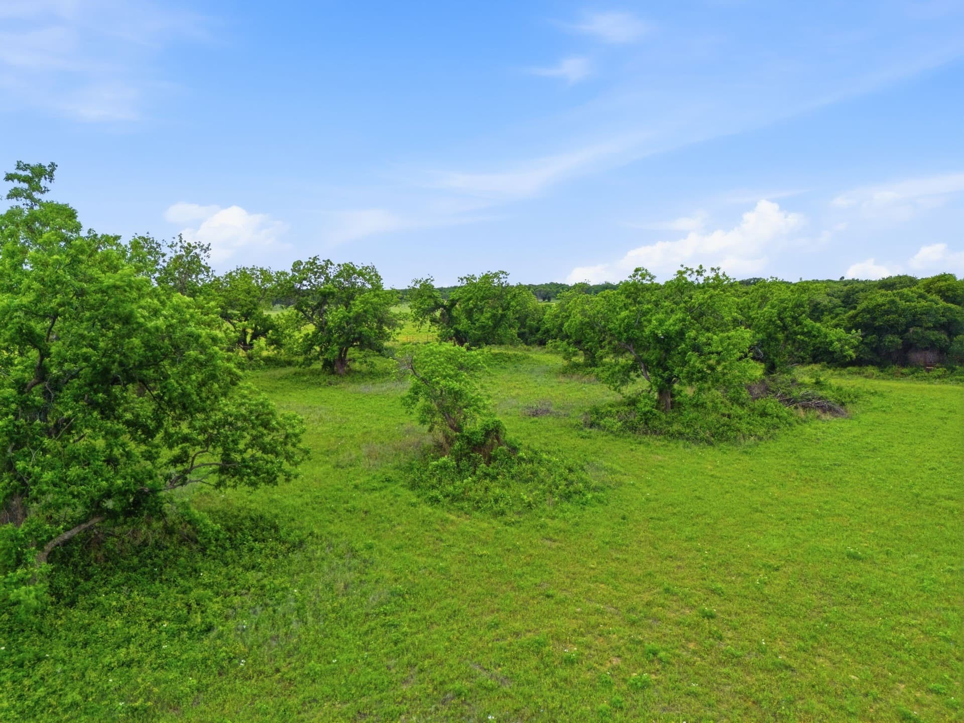 95 acres in Eastland County - photo 9